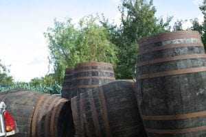 5 Aged Cider Barrels in front of Orchard Somerset - 1st Financial Group Somerset Advisers