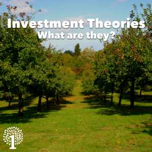 Investment Theory Investment Theories