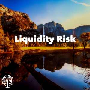 Liquidity Risk - Somerset