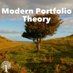 Modern Portfolio Theory MPT