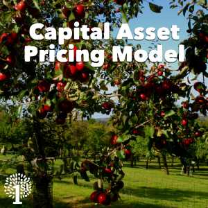 Capital Pricing Asset Pricing Model CAPM