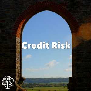 Credit risk - Church View Somerset