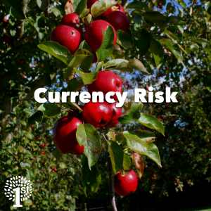 Currency Risk - Apples Somerset