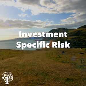 Investment Specific Risk - Dorset Coast