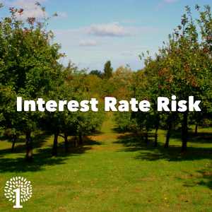 Interest Rate Risk