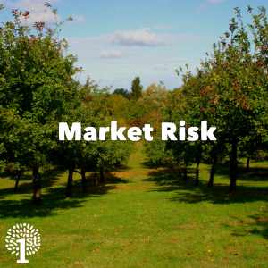 Market Risk - Apple Orchard Somerset