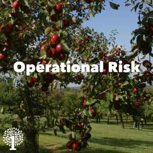 Operational Risk - Apple Tree