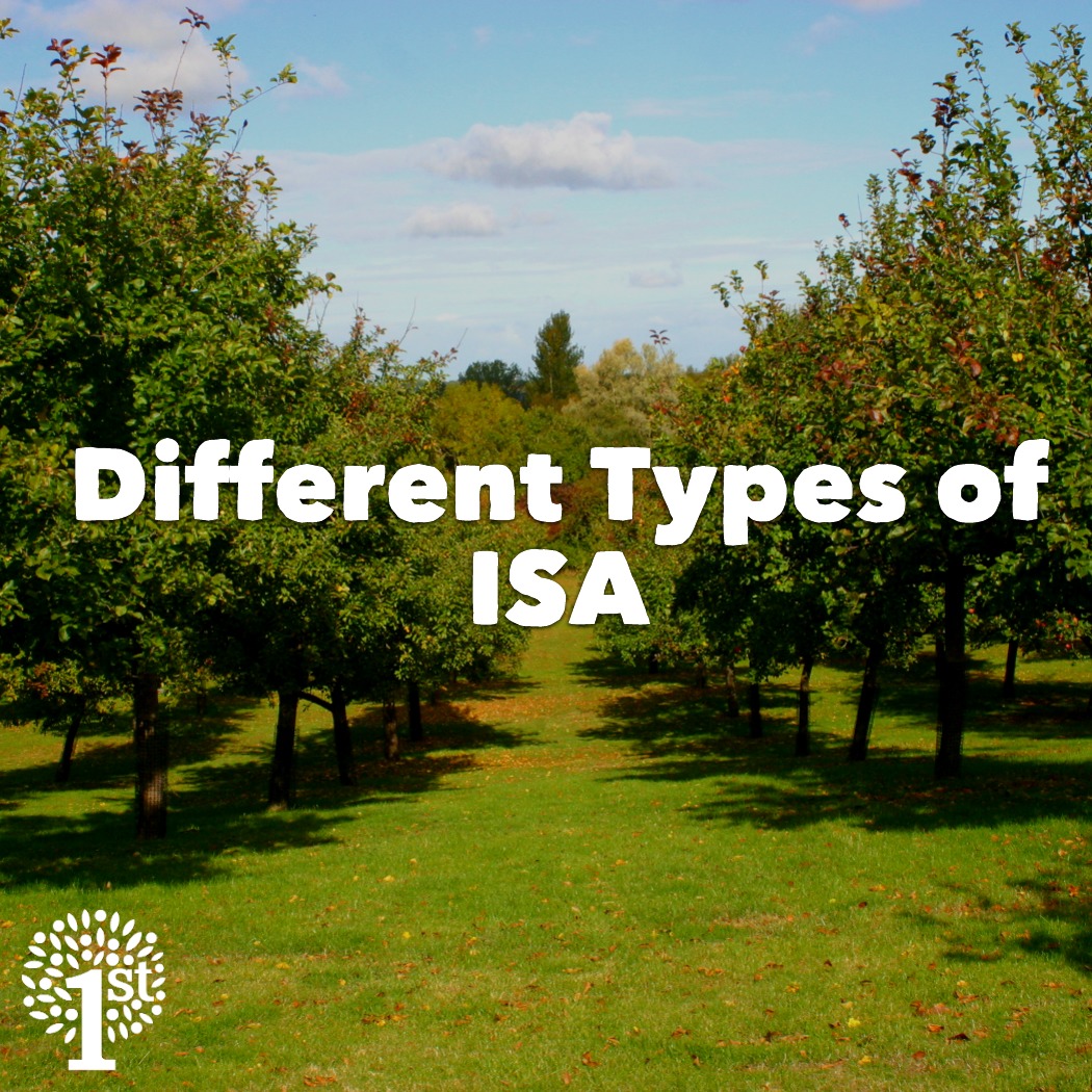 What are ISAs and how can they help you? Financial Advice in Somerset