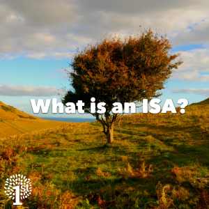 What is an ISA, tree on hill.